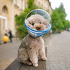 534891824a9208cd3617b318f53a7163