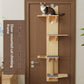311acd87d491e1f1335ade43ad2b538