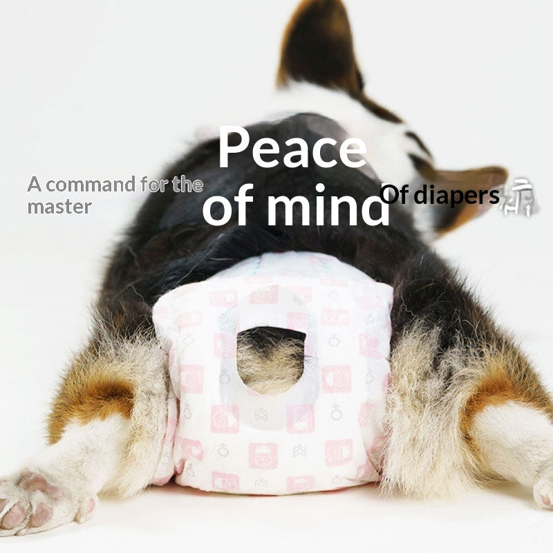 d47018e79c023ac7bd26ae8c9170d504